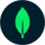 MongoDB Tools logo